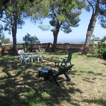 Il Vecchio Mandorlo Sirolo