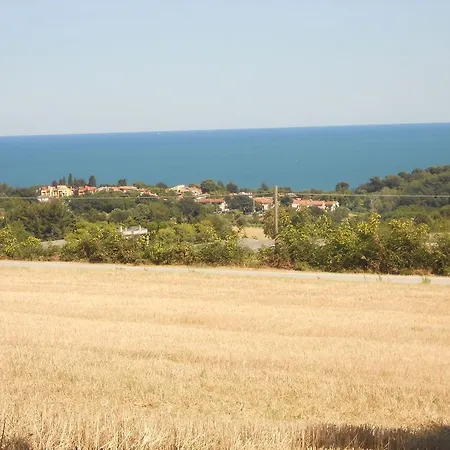 Il Vecchio Mandorlo *